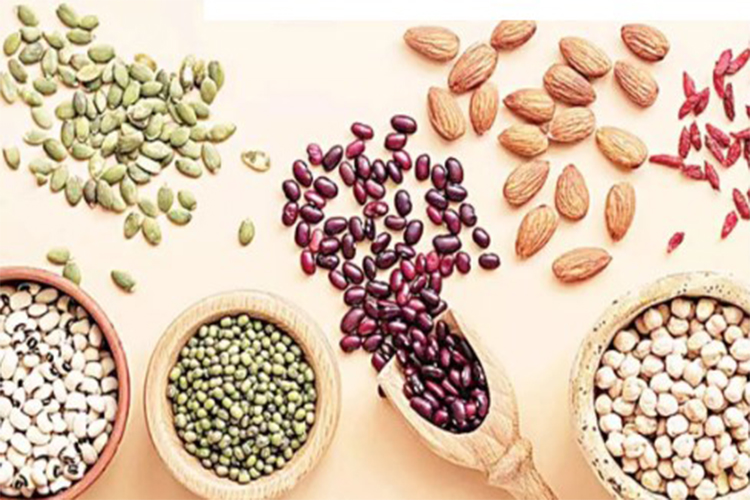 Make plant based protein a part of your diet, you can include these things