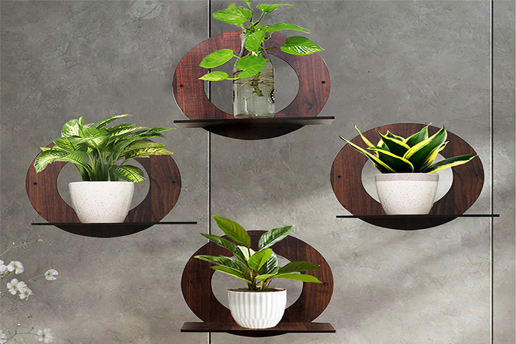 Wall Planters 