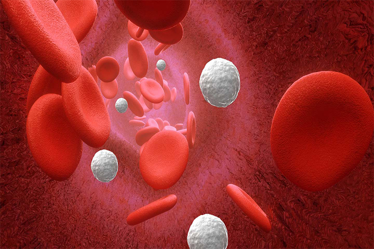Knowledge about HIV is the real diagnosis.