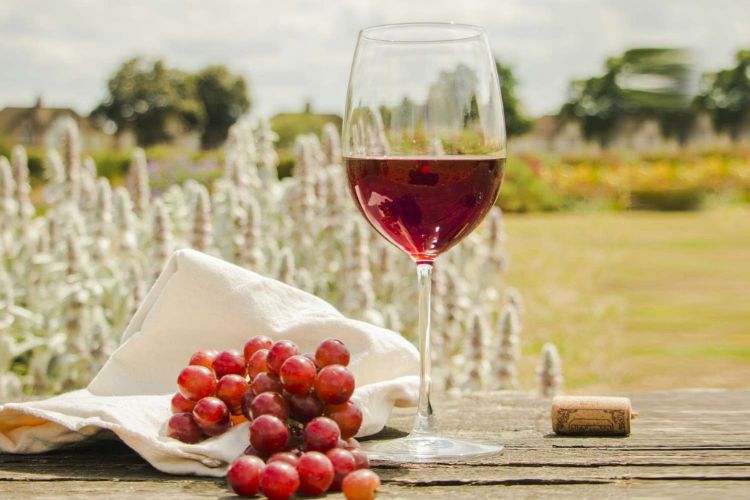 Red wine is beneficial for skin and hair