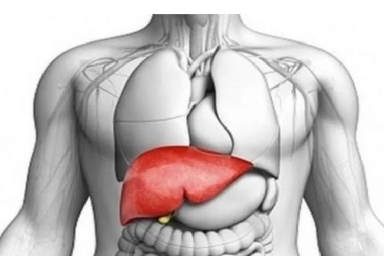If the liver is happy then your health will also smile
