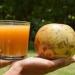 BEL SHARBAT: Bel Sharbat works as a heat protection