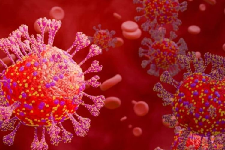 COVID CASES: Corona knocks again in India