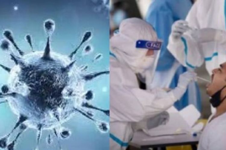 COVID CASES: Corona knocks again in India