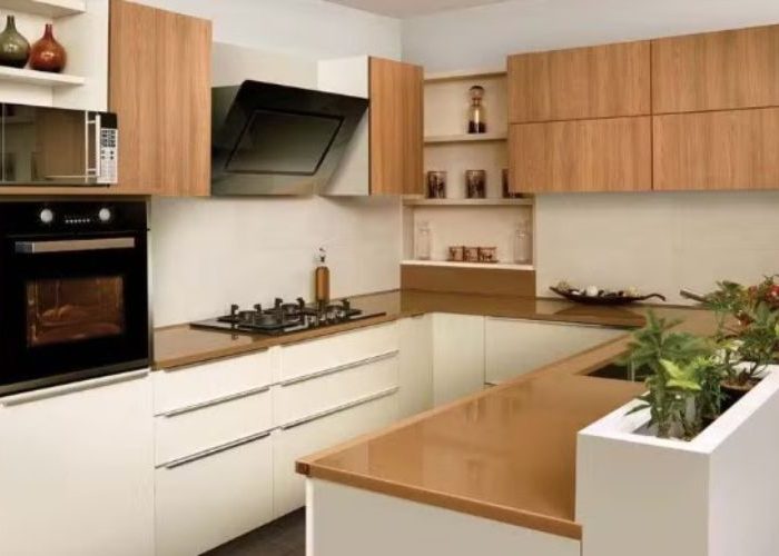 Vastu Tips: These 3 things kept in the kitchen cause financial crunch