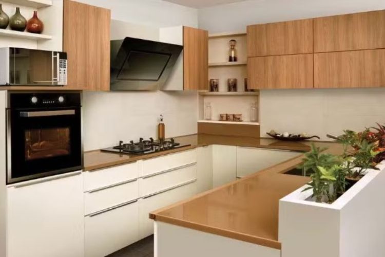 Vastu Tips: These 3 things kept in the kitchen cause financial crunch