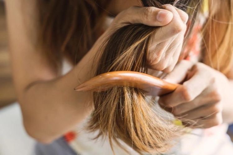 Consuming fenugreek in coconut oil will solve 5 hair problems