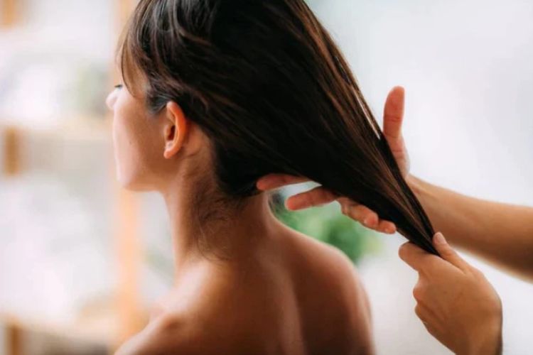 Consuming fenugreek in coconut oil will solve 5 hair problems