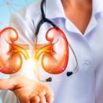 High blood pressure and diabetes cause severe damage to the kidneys