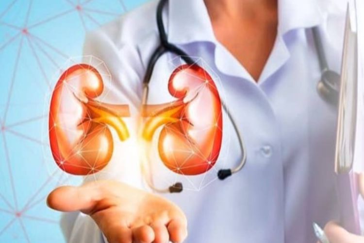 High blood pressure and diabetes cause severe damage to the kidneys