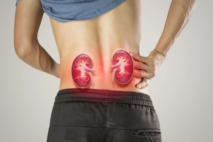 High blood pressure and diabetes cause severe damage to the kidneys